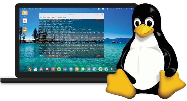Linux 全局配置 Git 分支提示符：让终端像 Git Bash 一样显示当前分支